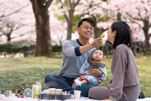 10 Foods That Boost Breast Milk Production & Hegen Bottles for Fuss-Free Feeding