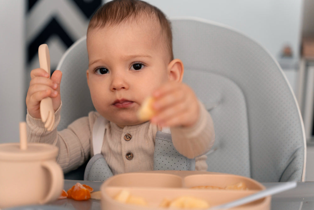 waktu makan bayi 6 bulan