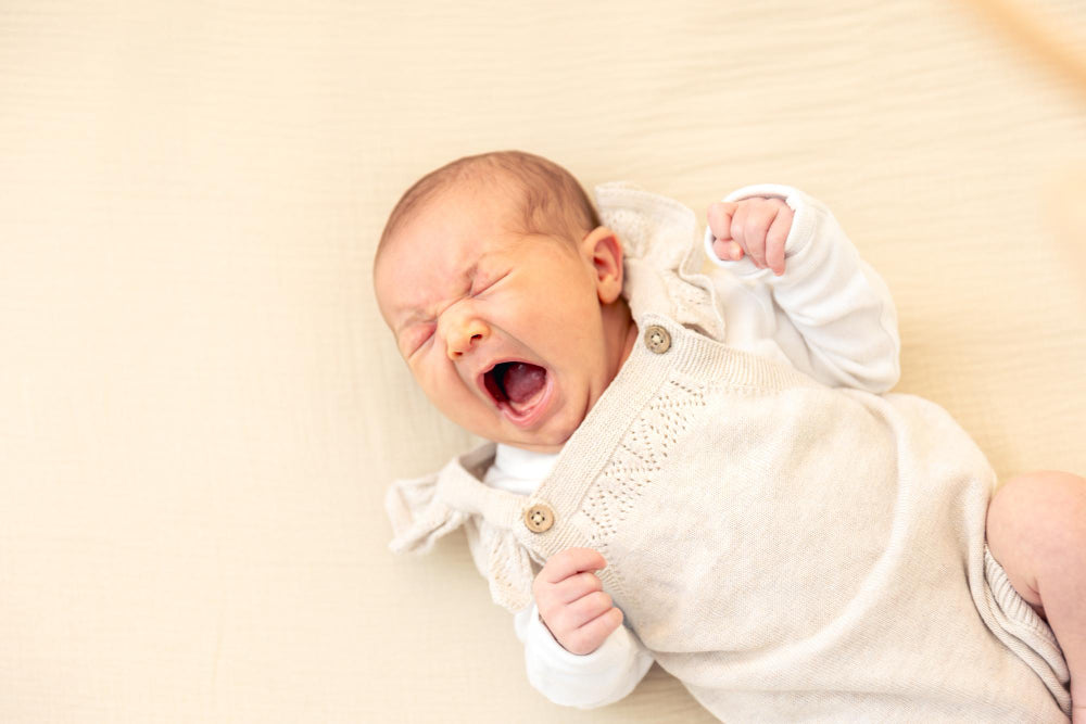 tantrum pada bayi
