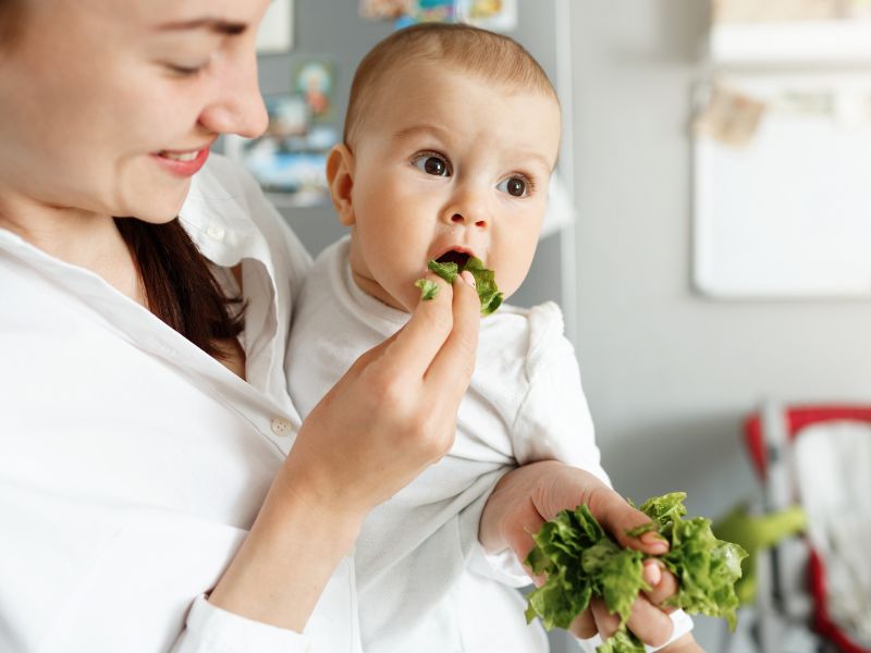 sayuran untuk bayi 6 bulan